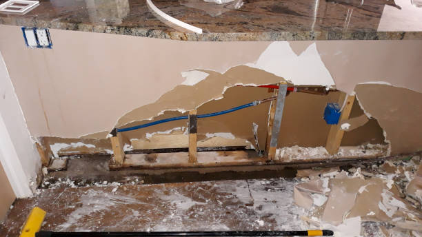 Best Flood restoration services  in Elephant Butte, NM