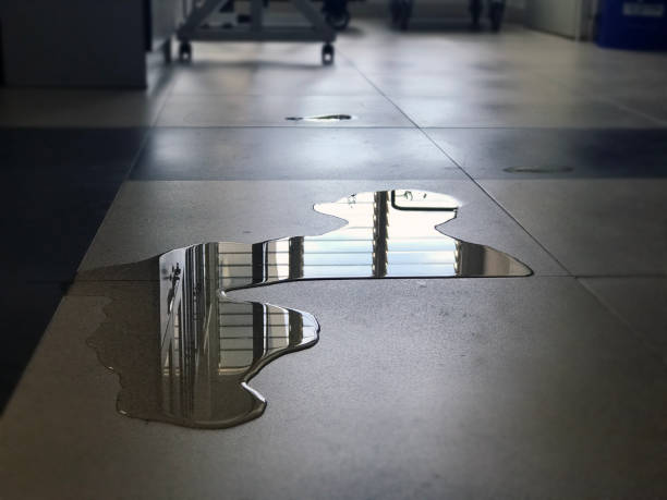 Best Water damage restoration near me  in Elephant Butte, NM